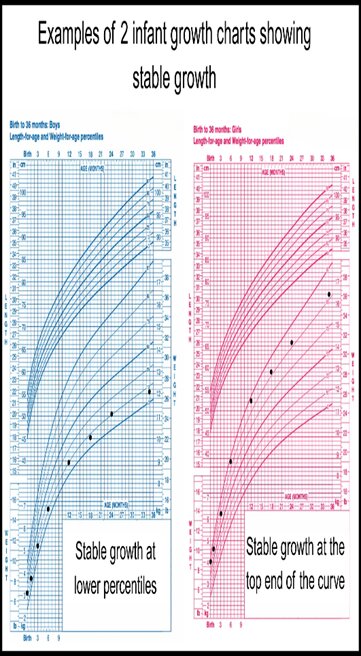 Infant growth chart example